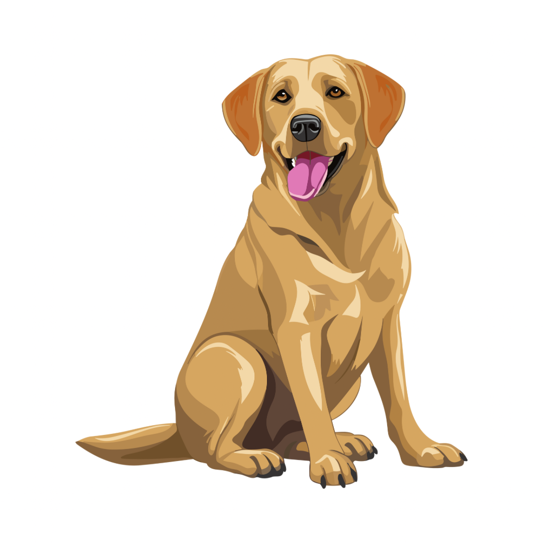 Avoid These Common Mistakes in Dog Agility Training