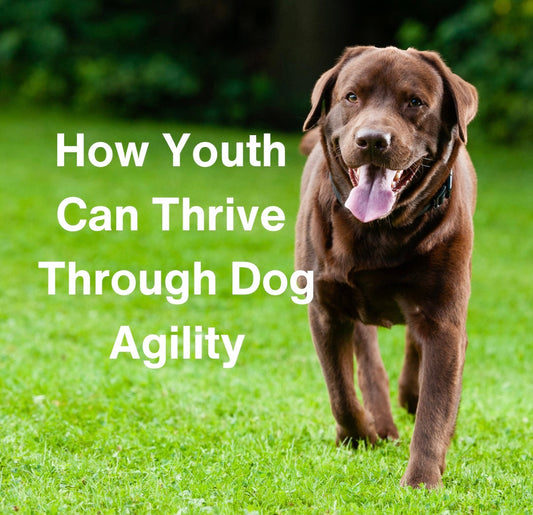 Unleashing Potential: How Youth Can Thrive Through Dog Agility
