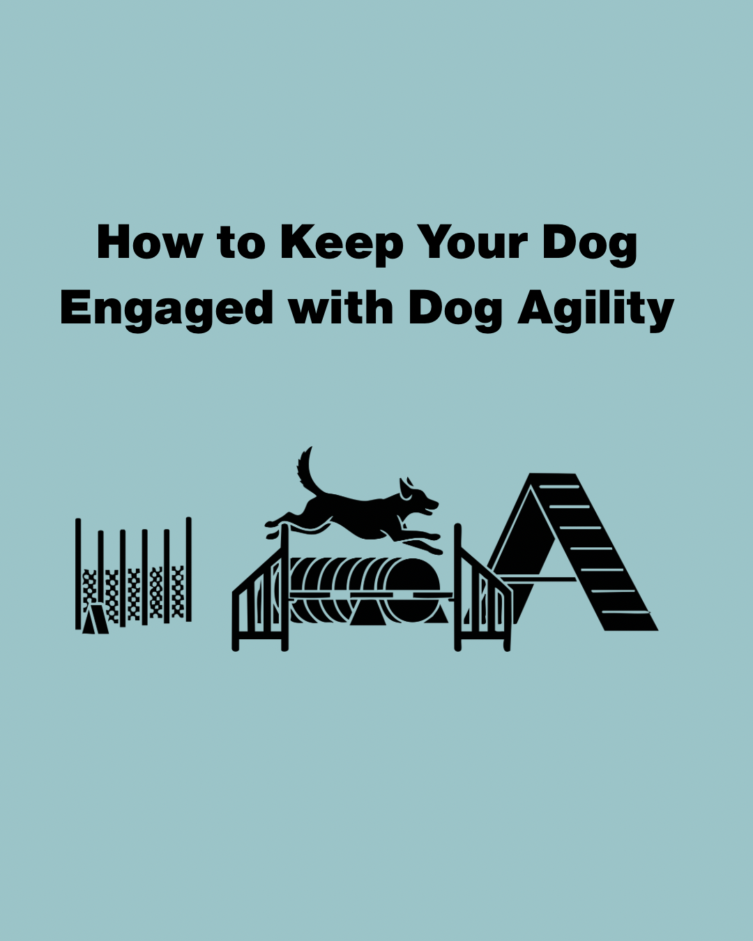 How to Keep Your Dog Engaged with Dog Agility