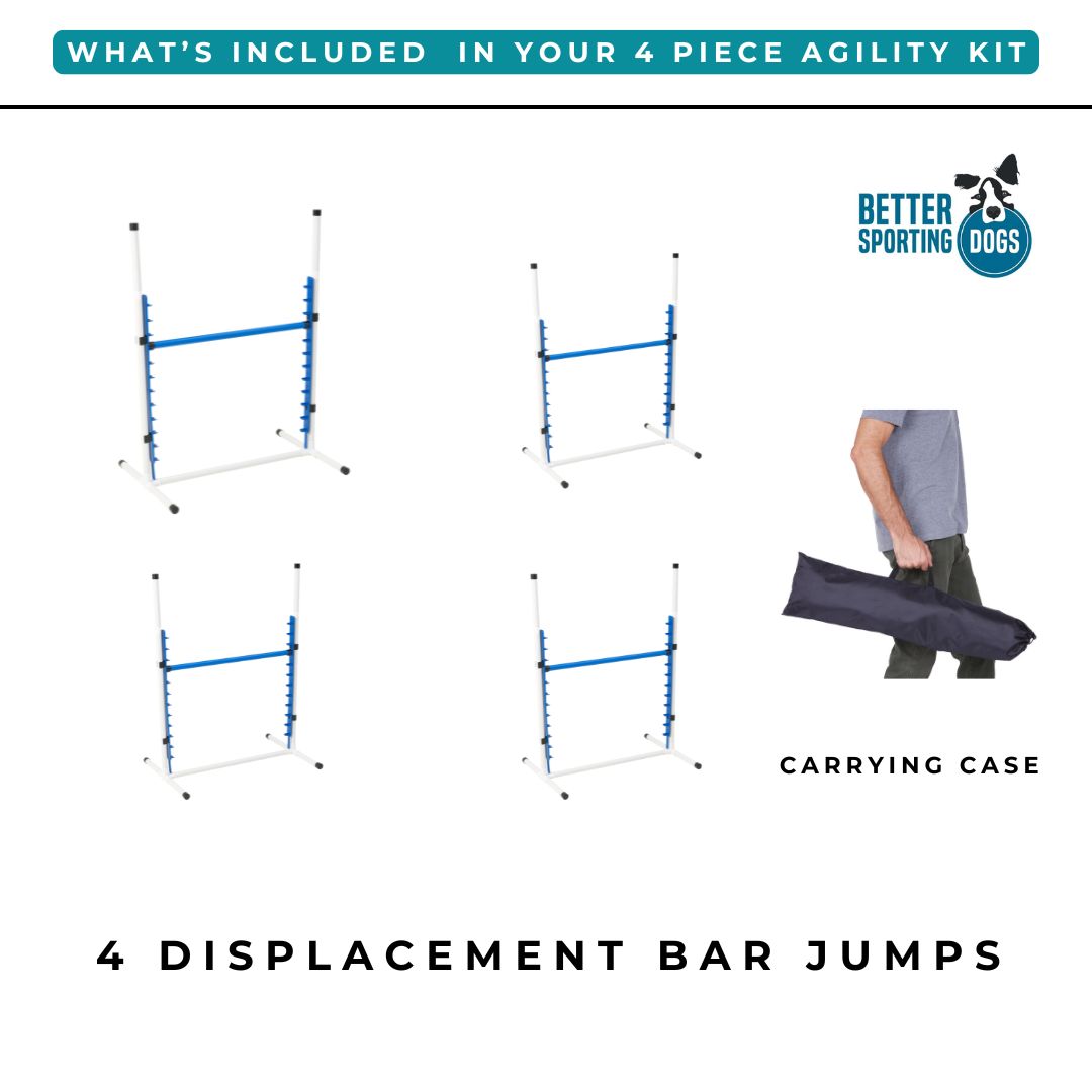 Close-up of a single green leaf against a white background.