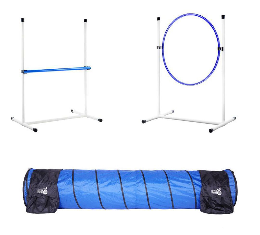 better sporting dogs agility set agility equipment dogs