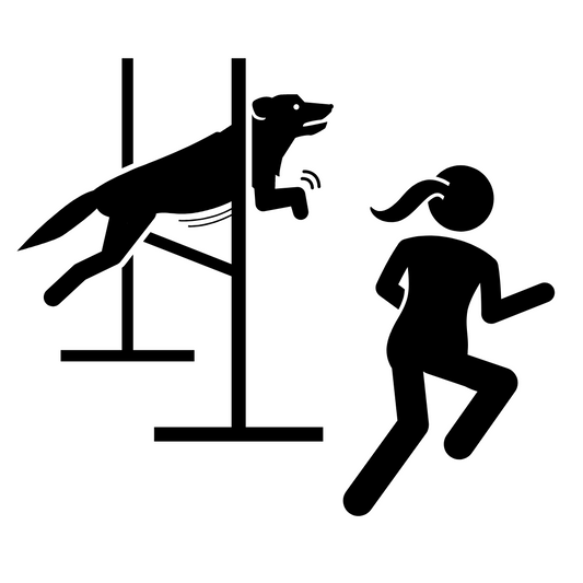 The History of Dog Agility: From Origins to Today