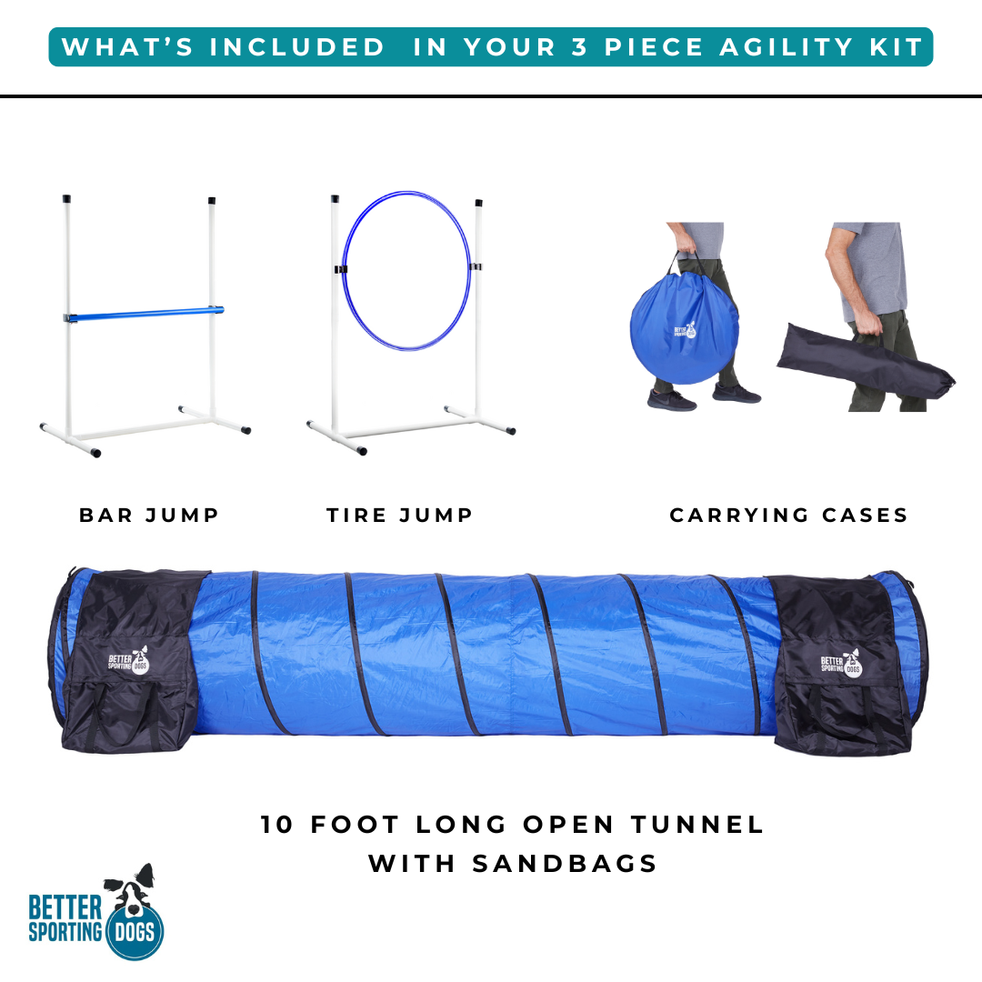 Close-up of a single green leaf against a white background.