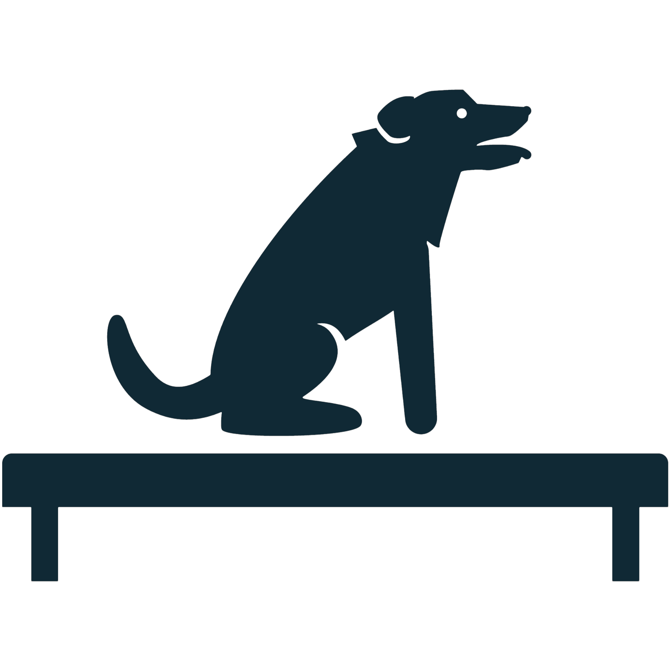Silhouette of a dog jumping over an agility hurdle.