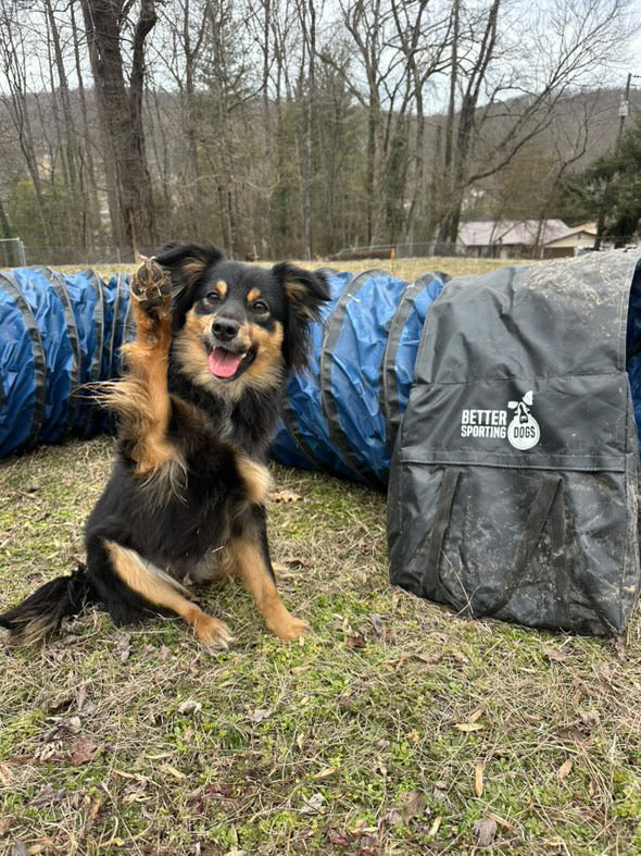 16 Foot Heavy Duty PVC Tunnel with Sandbags