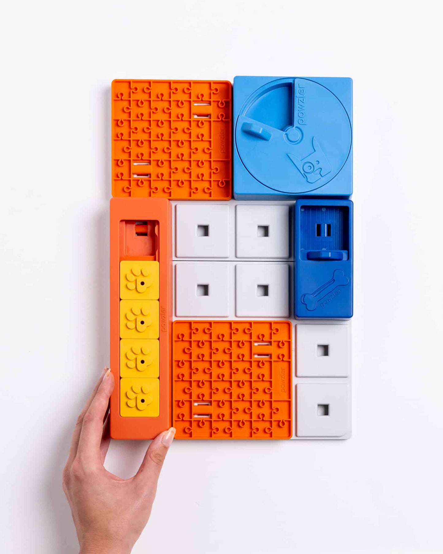 Pawzler Set - Beginner