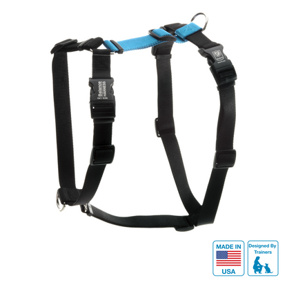 Balance Harness