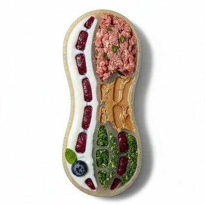 Peanut eChew Ultra Durable Nylon Dog Chew Toy