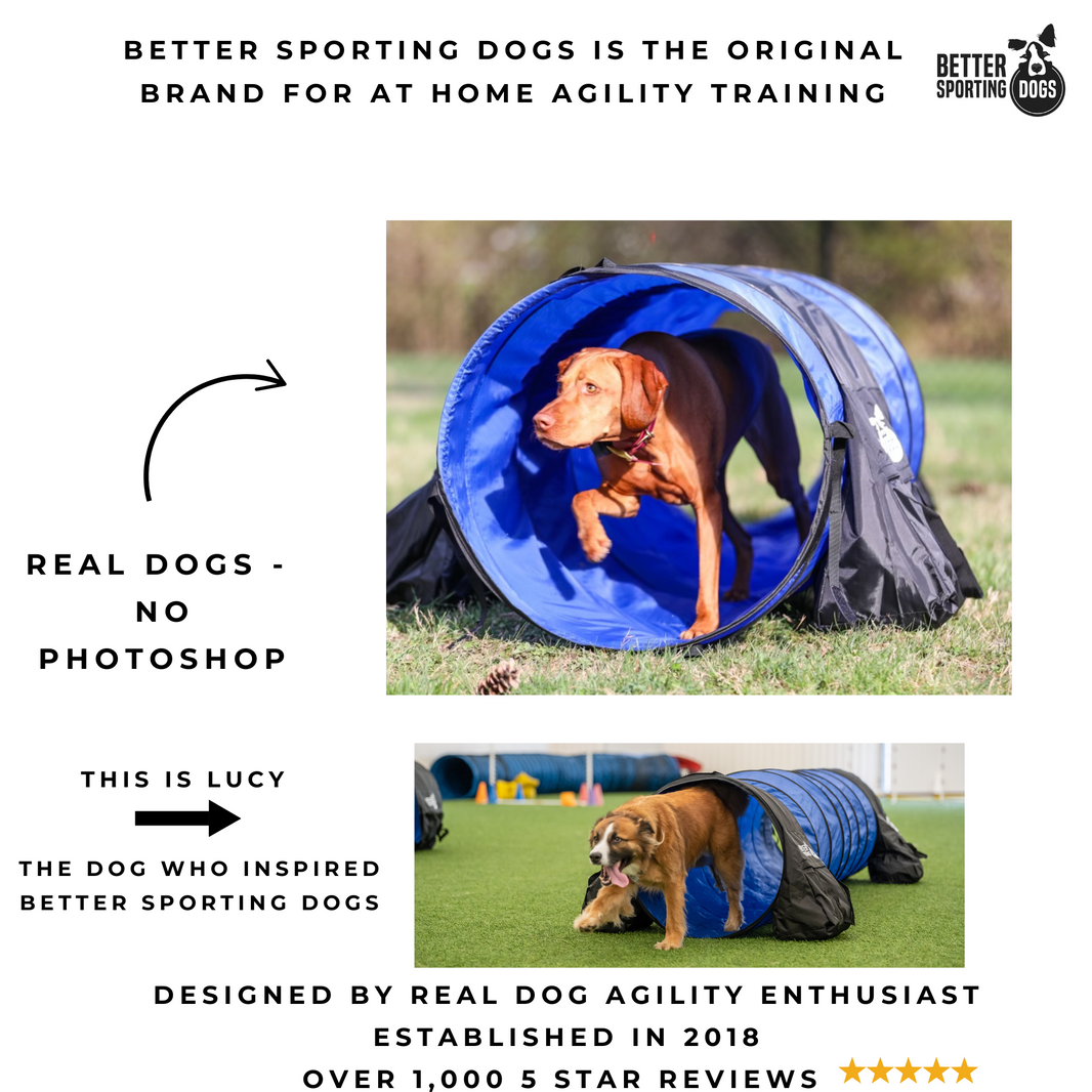 Products – Better Sporting Dogs
