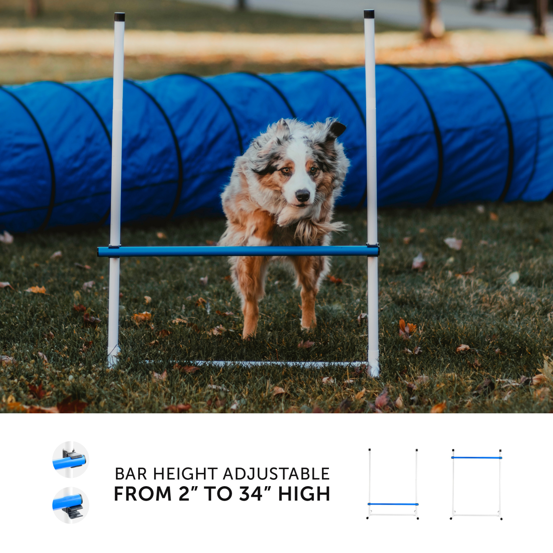 Close-up of a single green leaf against a white background.