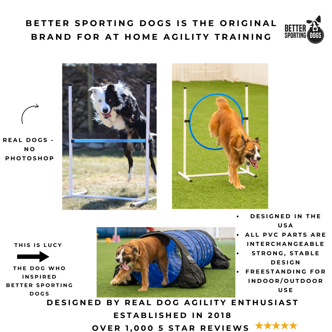 Products – Better Sporting Dogs