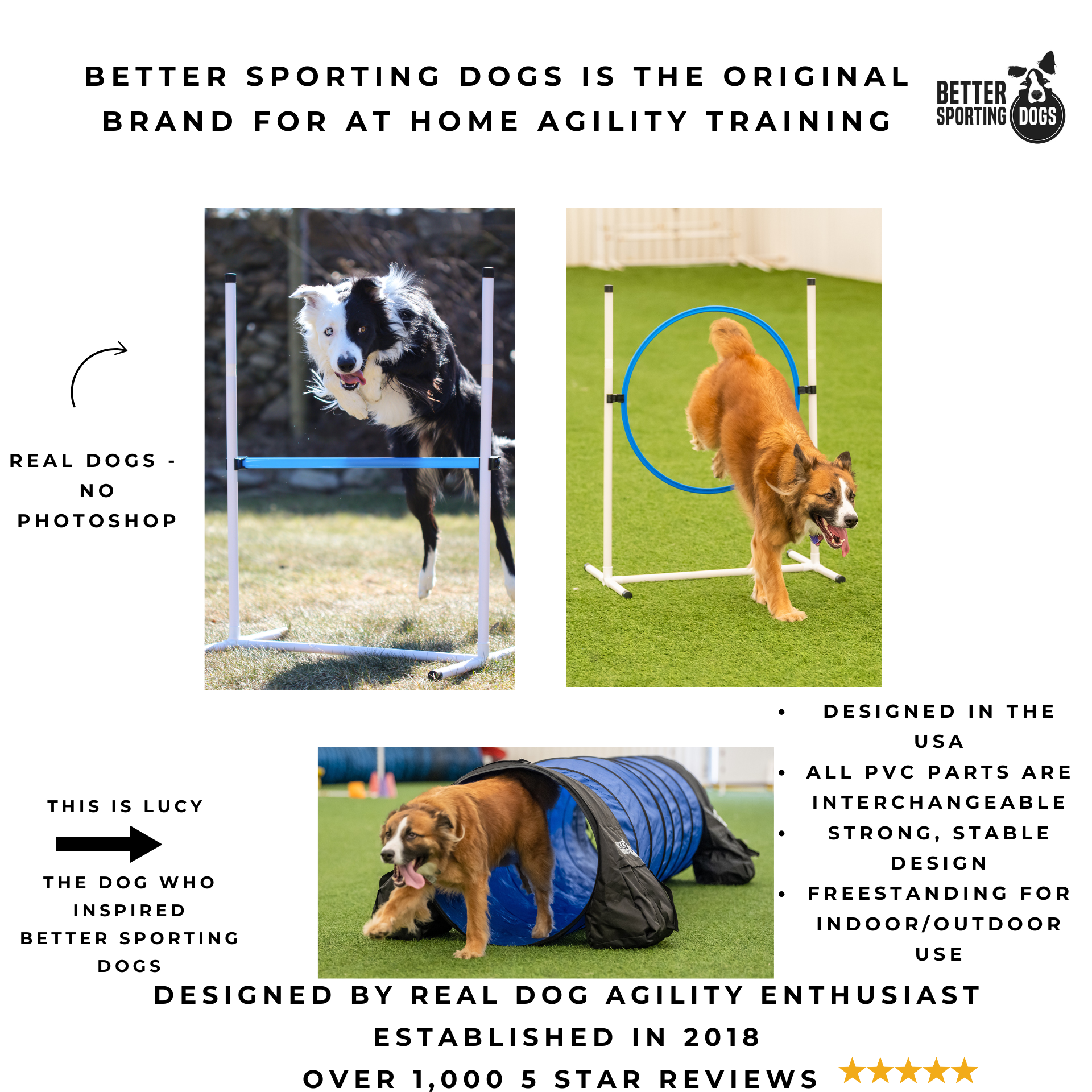 5 Piece Complete Starter Agility Set for Dogs