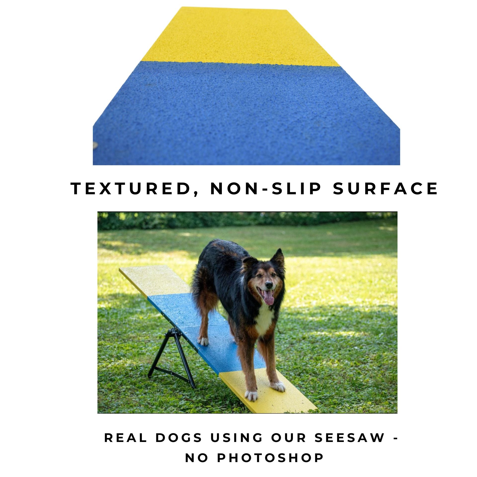 Practice See Saw | Dog Agility Teeter