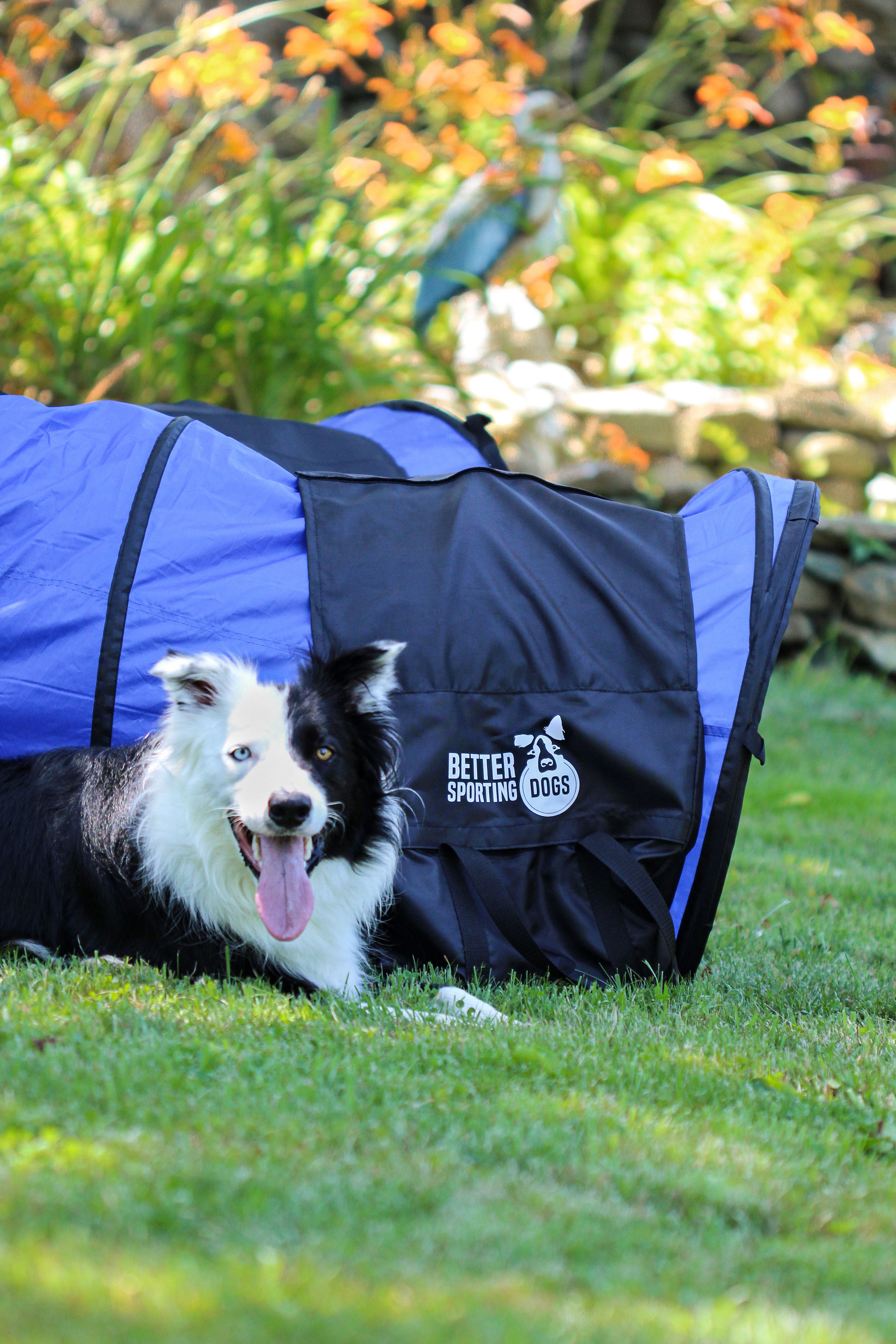 better sporting dogs dog agility tunnel sandbags