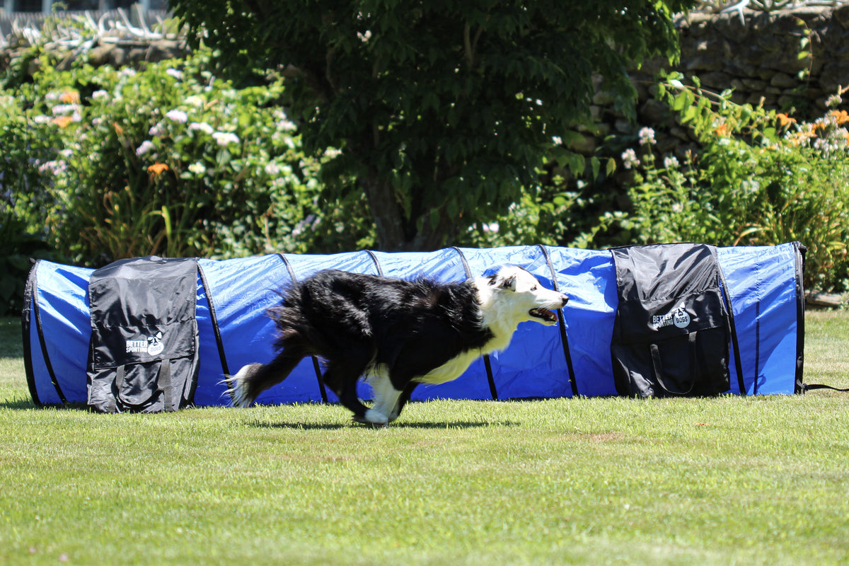 10 Foot Dog Agility Tunnel with Sandbags
