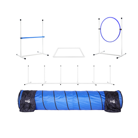 better sporting dogs agility set agility equipment dogs